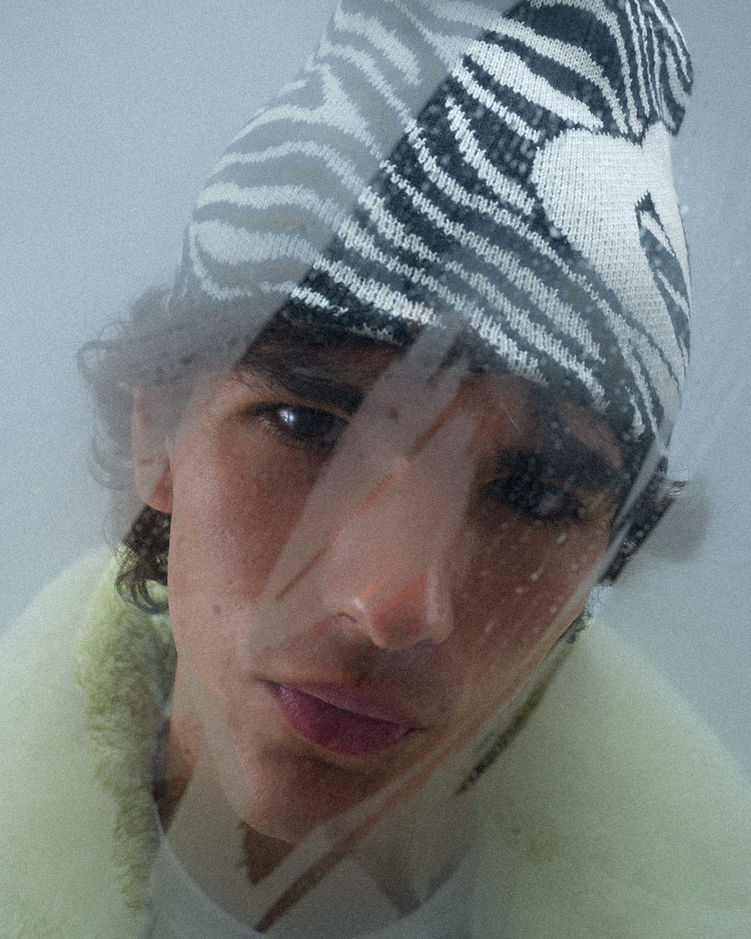 Gorro de cebra Amore